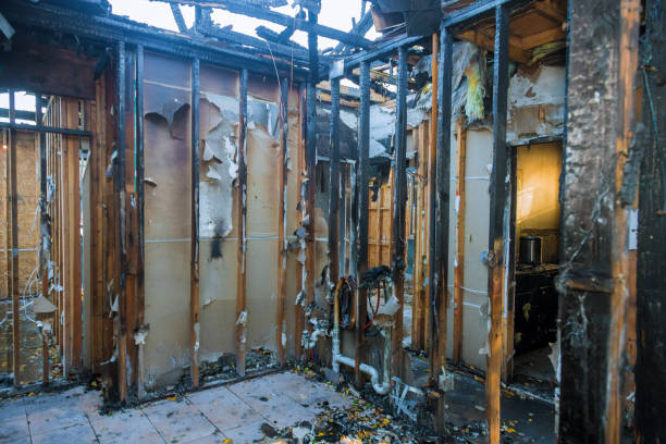 Professional Fire Damage Removal technician working in Abington, PA